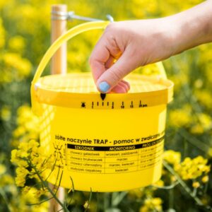 Piège à insectes simple