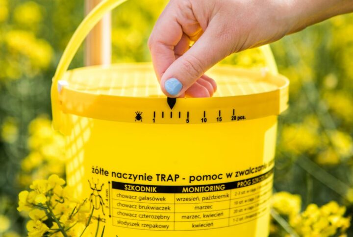 Piège à insectes simple