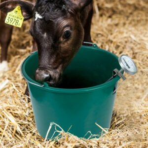 Thermomètre de sol 19 cm avec support