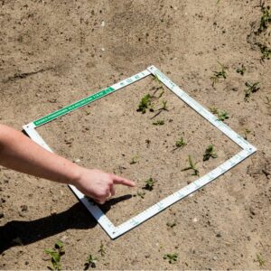 Cadre agricole 1/4 m²