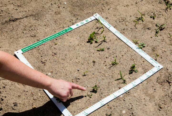 Cadre agricole 1/4 m²