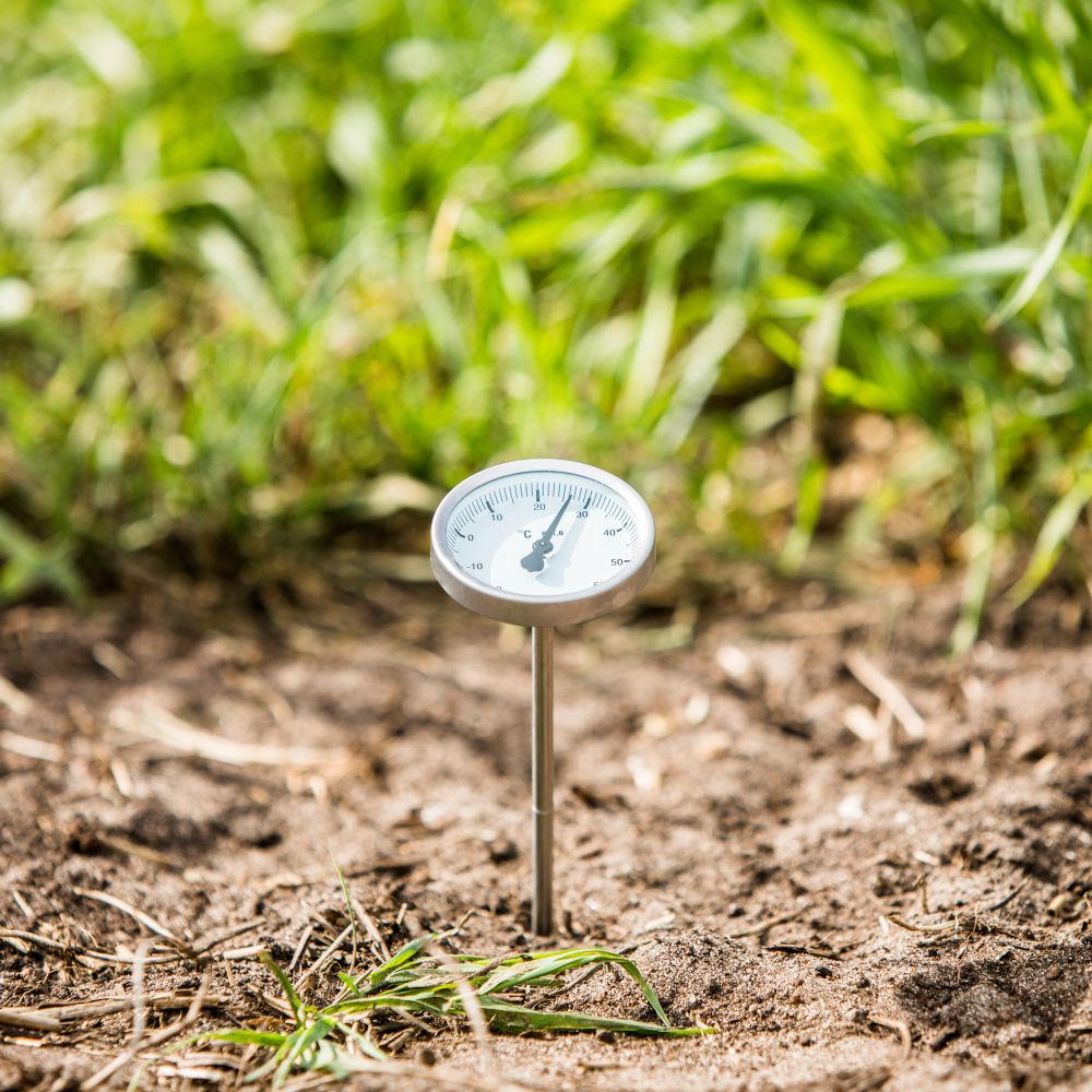 Thermomètre de sol 19 cm Thermomètre de sol 19 cm