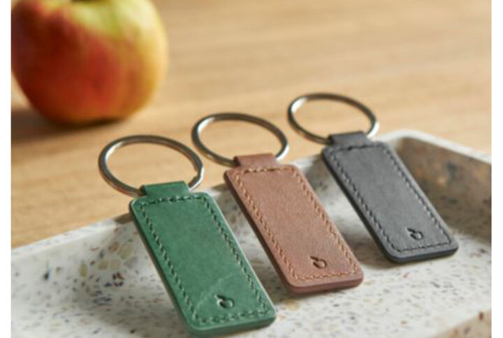 Porte-clés rectangulaire en peau de pomme