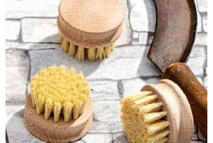 Brosse à légumes avec manche en bois