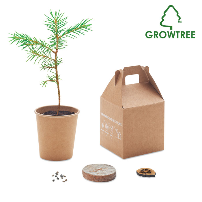 Kit de plantation graines de pin