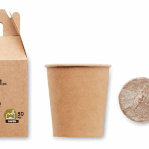 Kit de plantation graines de pin