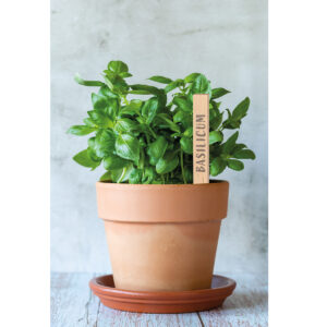 Tige en bois pour noter les plantations