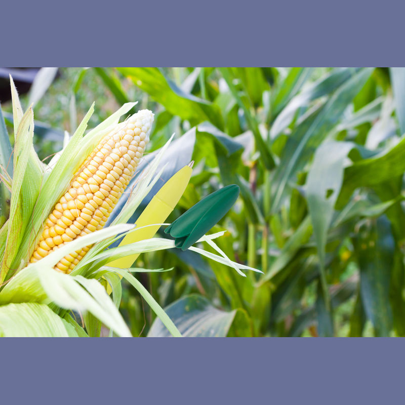 Stylo en forme d’épi de maïs Stylo en forme d’épi de maïs