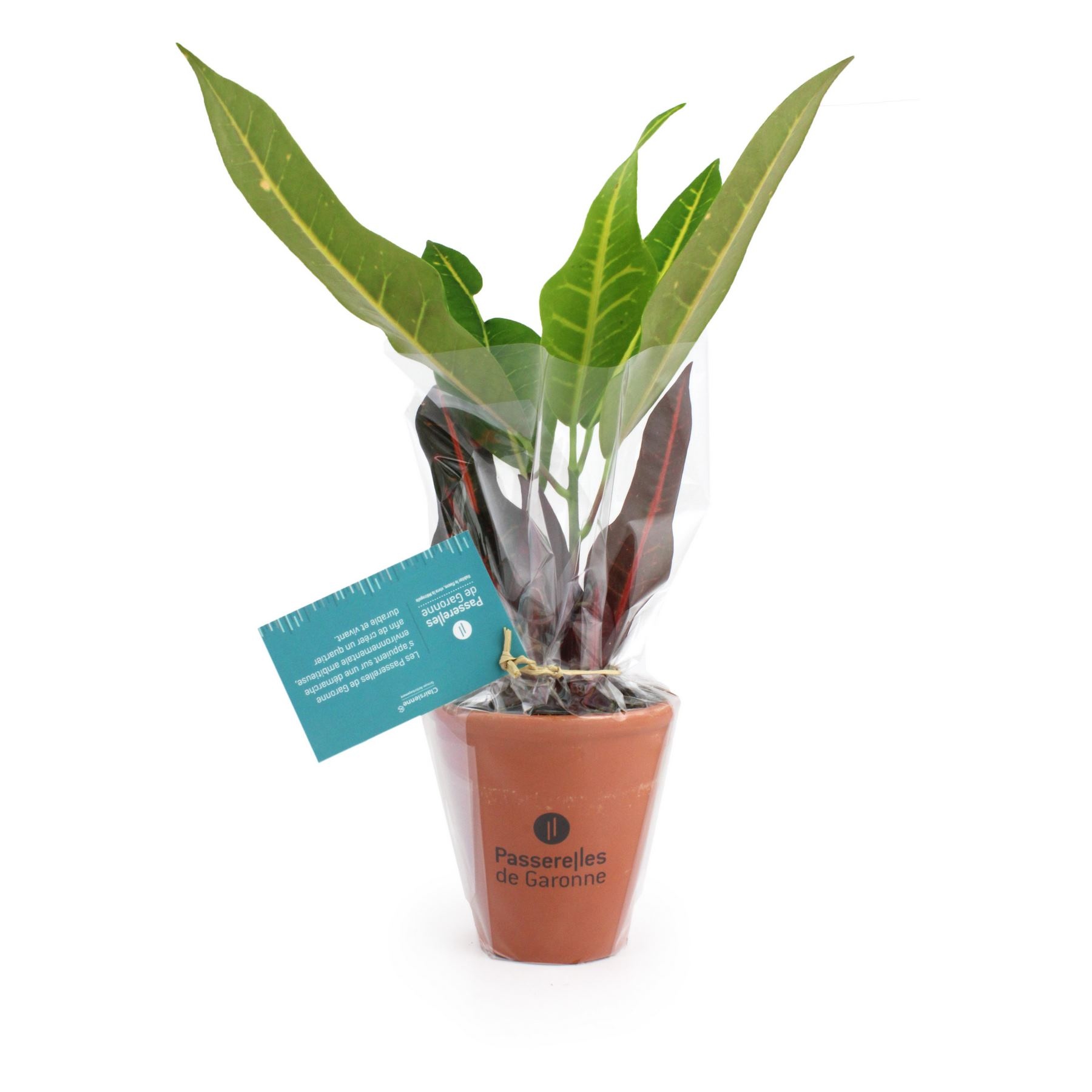 P2511991-2 P2511991-2