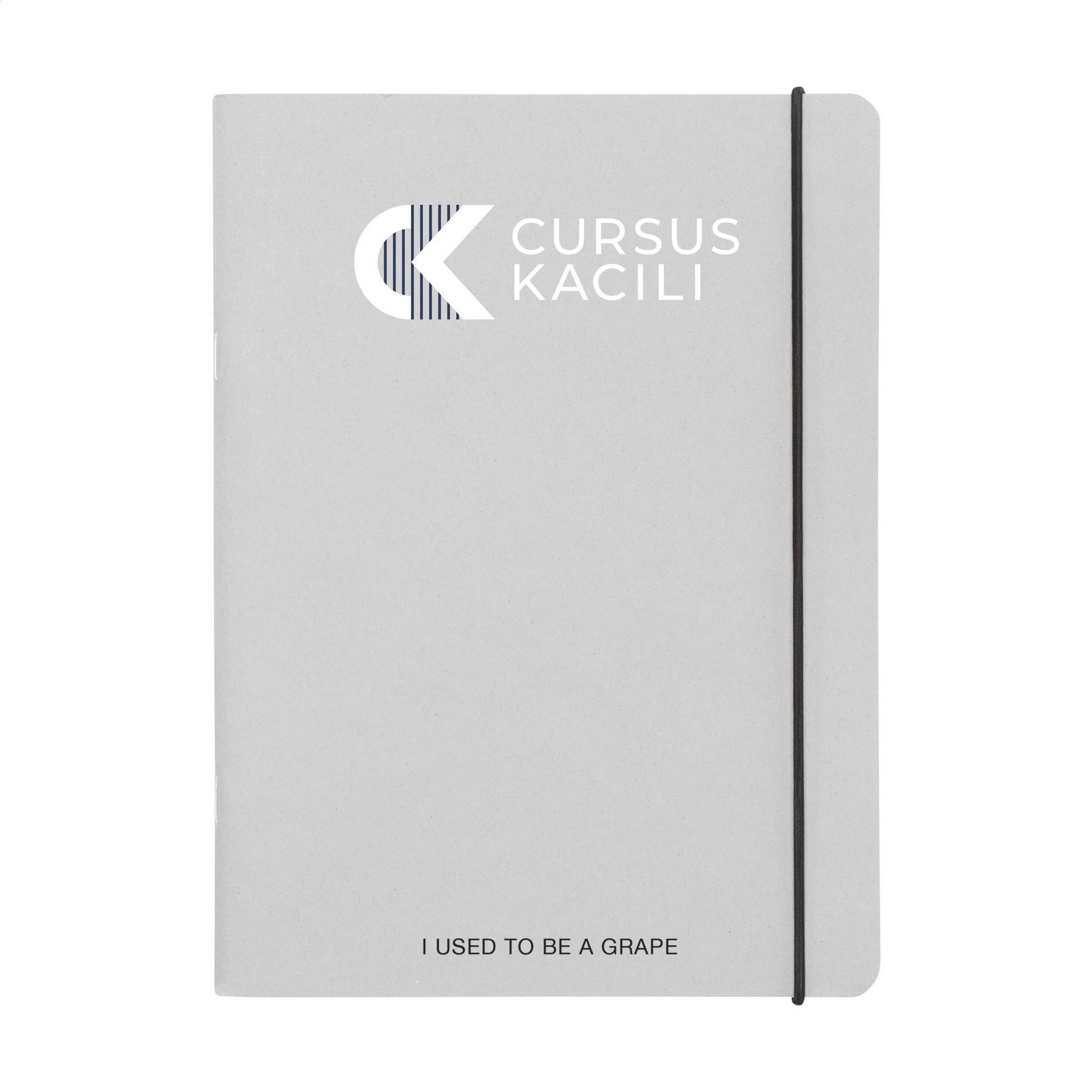 P377619c14602 P377619c14602