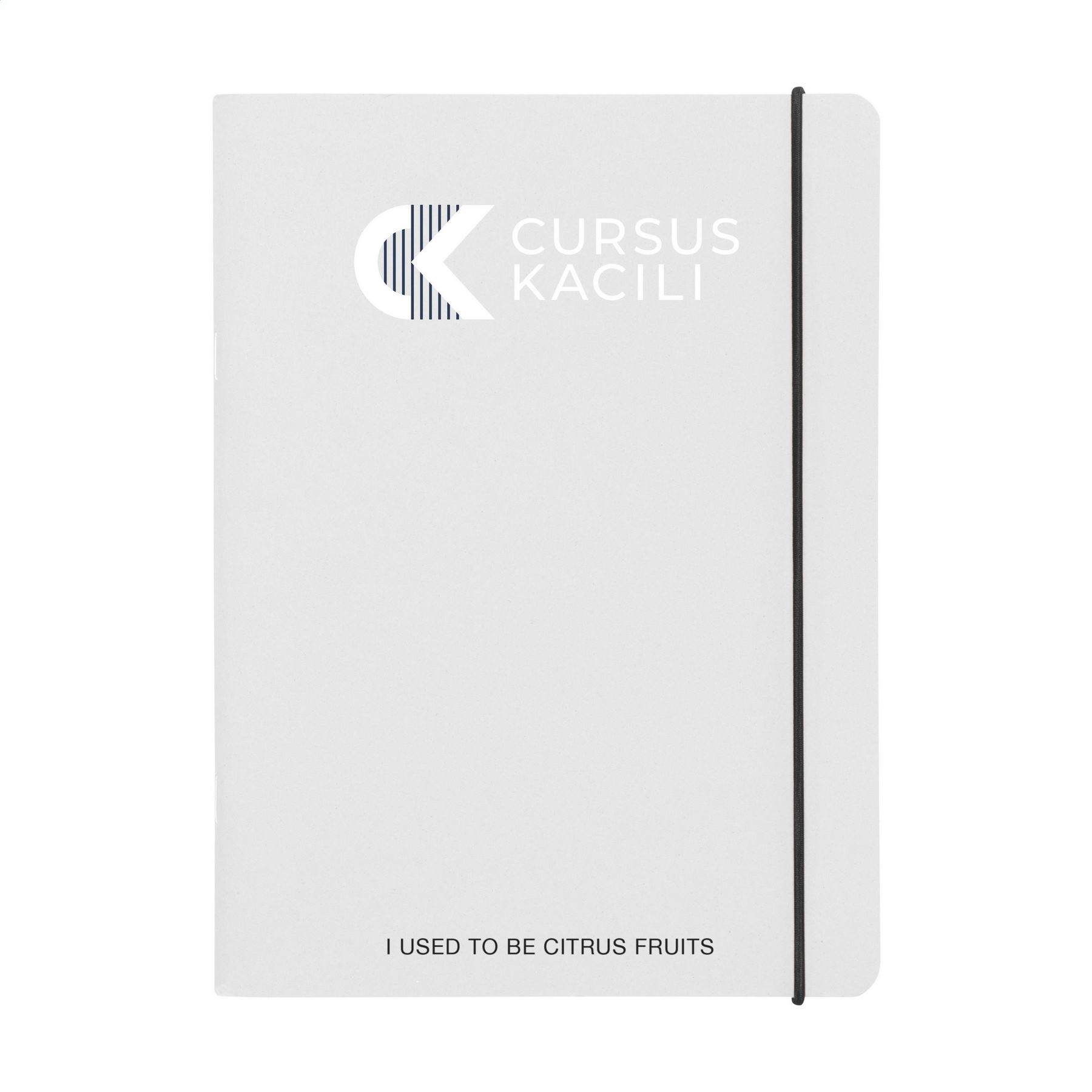 P377619c14923 P377619c14923