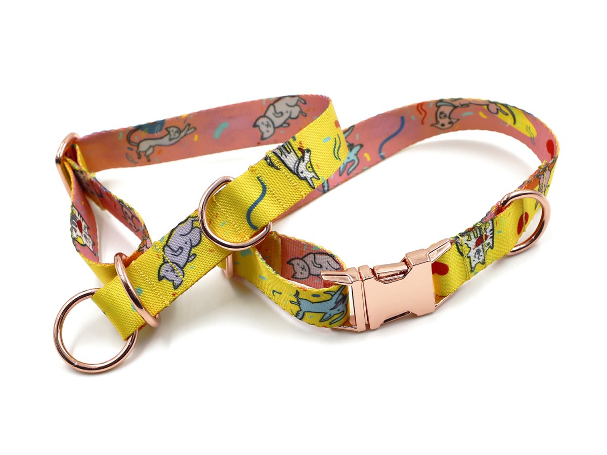 Collier pour chien personnalisable2 Collier pour chien personnalisable2