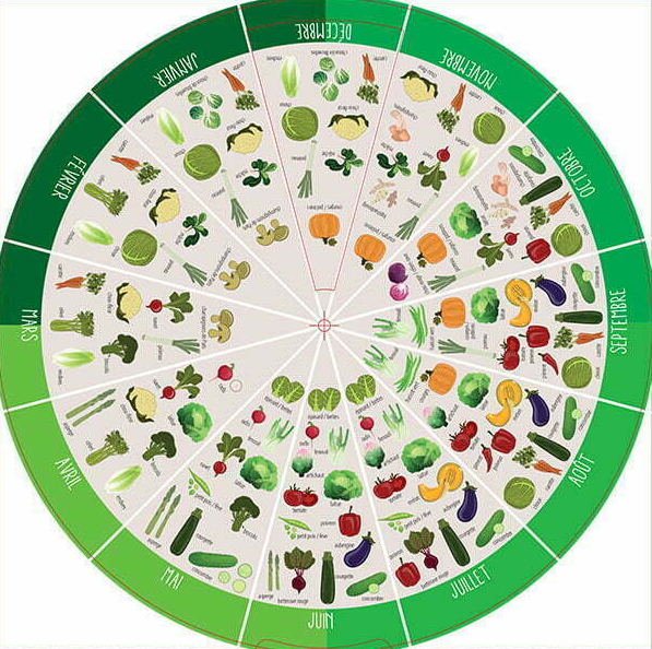 Disques Fruits et Légumes de saison Disques Fruits et Légumes de saison