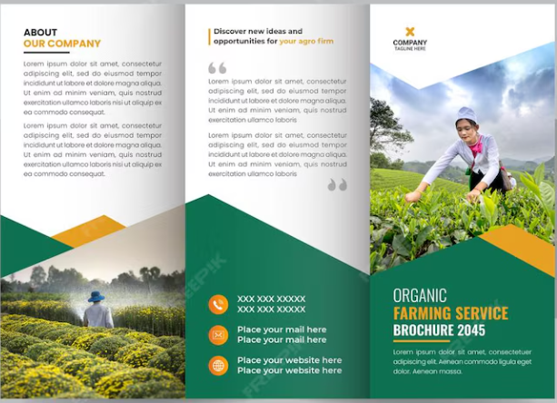 Sans titre Sans titre