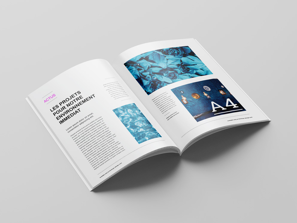 brochure-agrafée brochure-agrafée