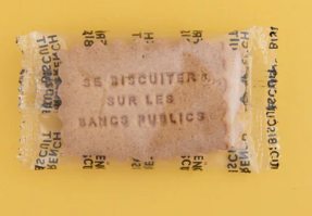 Biscuit personnalisé Biscuit personnalisé